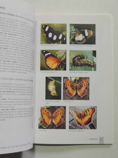 Butterflies of the Western Cape -  A Guide to Common Garden, Park & Wayside Butterflies