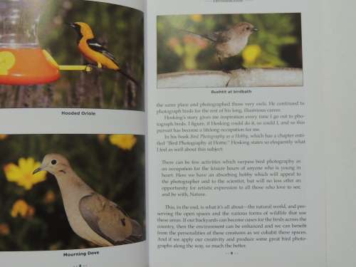 Backyard Bird Photography- Mathew Tekulsky