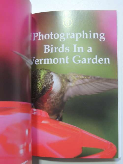 Backyard Bird Photography- Mathew Tekulsky