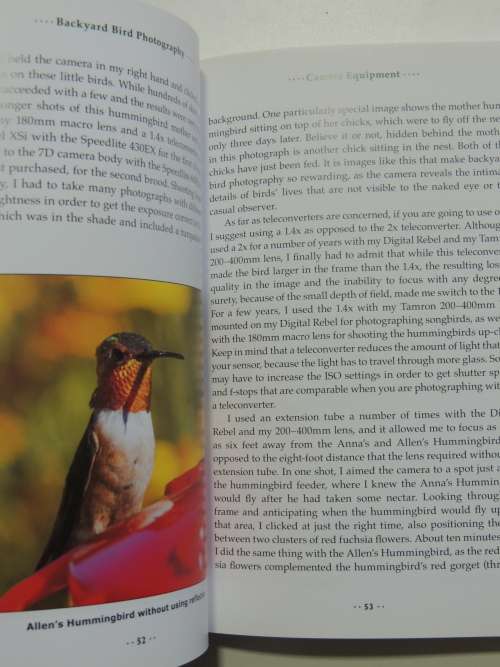 Backyard Bird Photography- Mathew Tekulsky