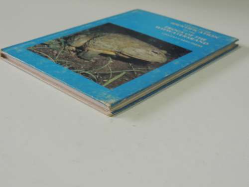 A Guide To The Identification Of The Frogs Of The Witwatersrand - Vincent Carruthers
