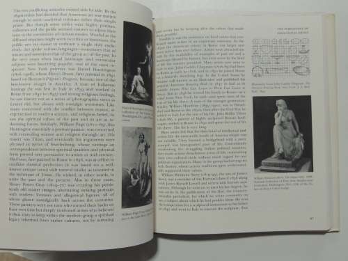 The Fine Arts In America - Joshua C. Taylor