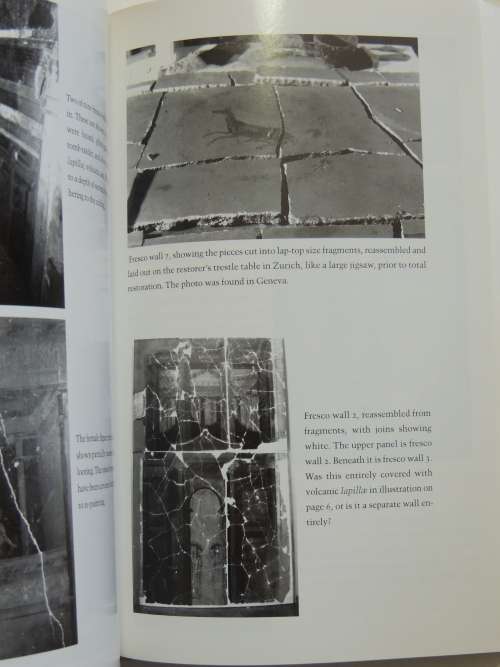 The Medidci Conspiracy - The Illicit Journey of Looted Antiquities - Peter Watson, Cecilia Todescini