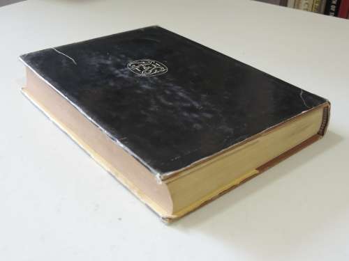 A Concise History of Painting From Giotto to Cezanne - Michael  Levey