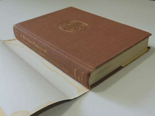 A Concise History of Painting From Giotto to Cezanne - Michael  Levey