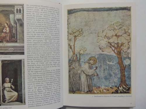 A Concise History of Painting From Giotto to Cezanne - Michael  Levey