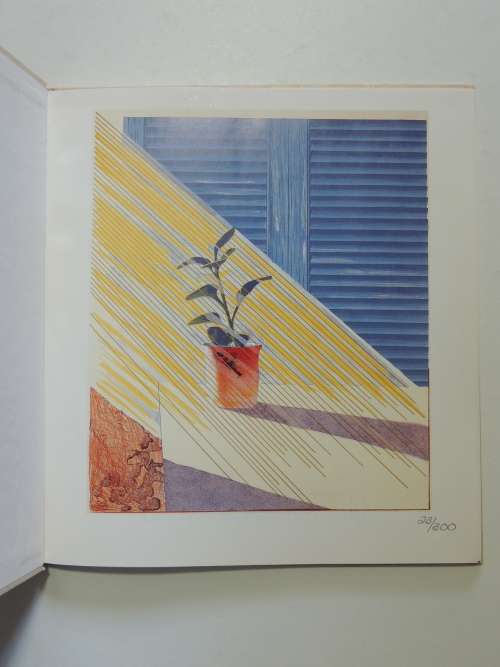 David Hockney - Two Decades - Leslie Sacks