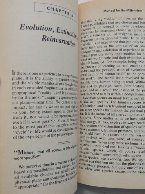 Michael for the Millenium - The Spiritual Essence Returns ... Message of Hope - Chelsea Quinn Yarbro