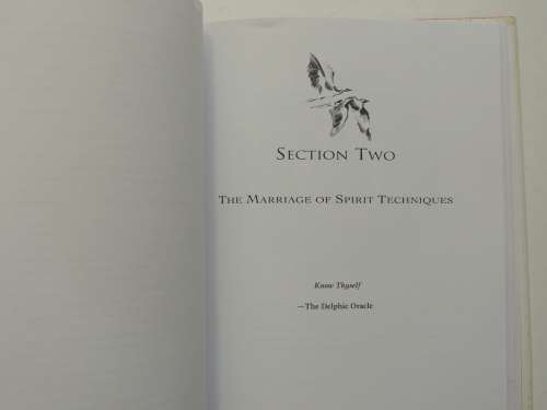 The Marriage of Spirit - Enlightened Living in Today`s World - Leslie Temple-Thurston