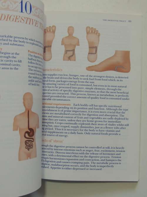 Reflexology - Chris Stormer