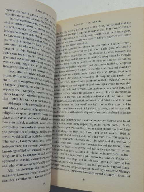 Military Mavericks - Extraordinary Men Of Battle - David Rooney