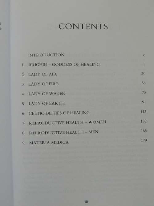 Brighid`s Healing - Ireland`s Celtic Medicine Traditions - Gina McGarry