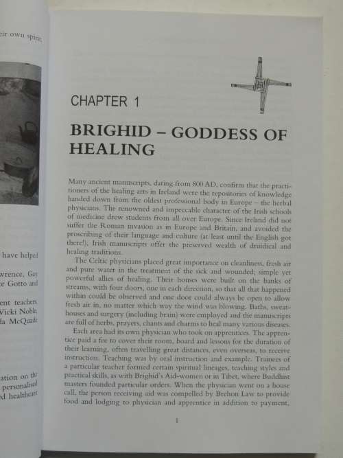 Brighid`s Healing - Ireland`s Celtic Medicine Traditions - Gina McGarry