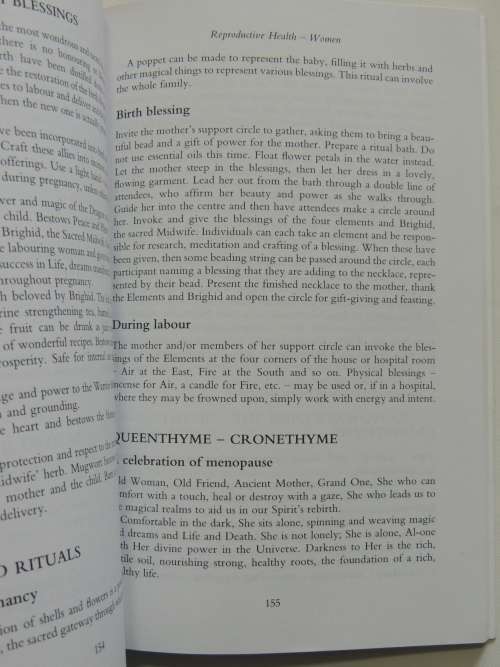 Brighid`s Healing - Ireland`s Celtic Medicine Traditions - Gina McGarry
