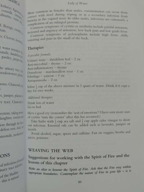 Brighid`s Healing - Ireland`s Celtic Medicine Traditions - Gina McGarry