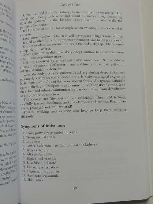 Brighid`s Healing - Ireland`s Celtic Medicine Traditions - Gina McGarry