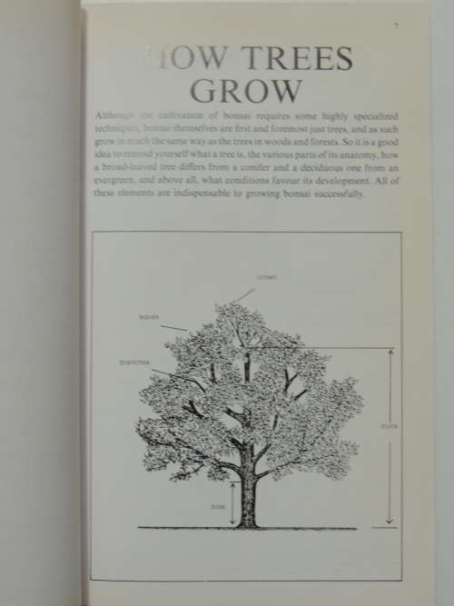 Introducing Bonsai - A Step by Step Guide to Growing, Training and Genreal Care Christian Pessey,Rem