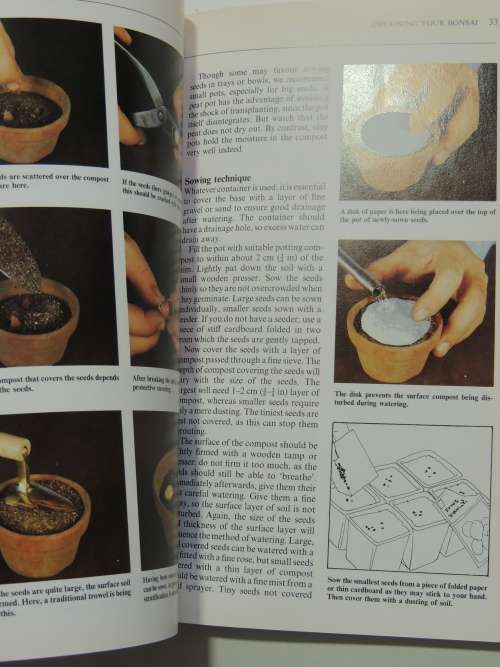 Introducing Bonsai - A Step by Step Guide to Growing, Training and Genreal Care Christian Pessey,Rem