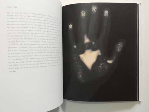 Handbook - South African Artists- Gary Schneider