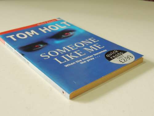 Someone Like Me - Tom Holt