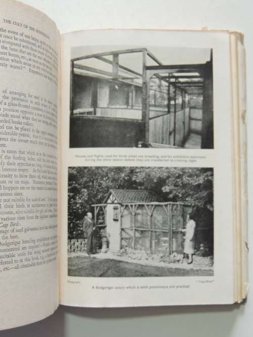 The Cult of the Budgerigar - W Watmough