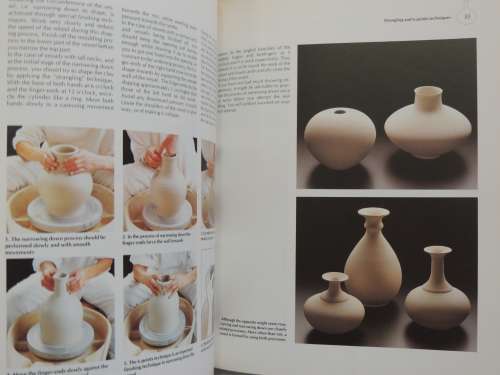 Ceramics - A Complete Guide for Creative Potters - Ayca Riedinger