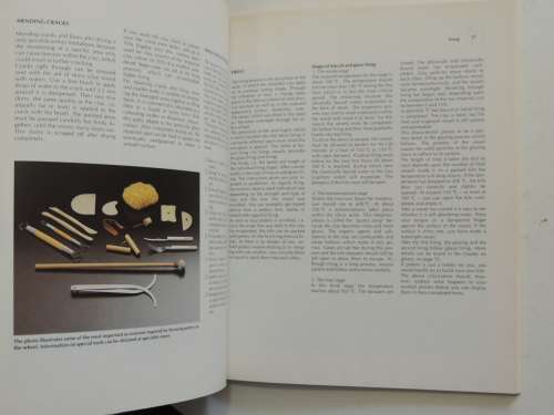 Ceramics - A Complete Guide for Creative Potters - Ayca Riedinger