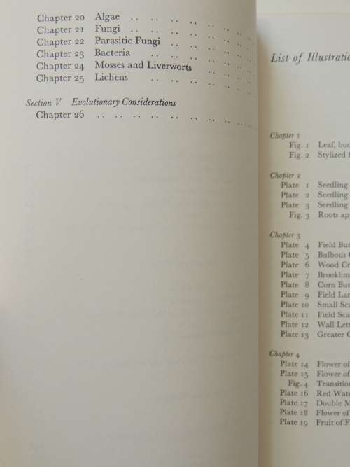 The Plant Volumes 1 & 2, A Guide to Understanding its Nature, Flowering Plants - Gerbert Grohmann