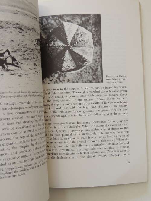 The Plant Volumes 1 & 2, A Guide to Understanding its Nature, Flowering Plants - Gerbert Grohmann