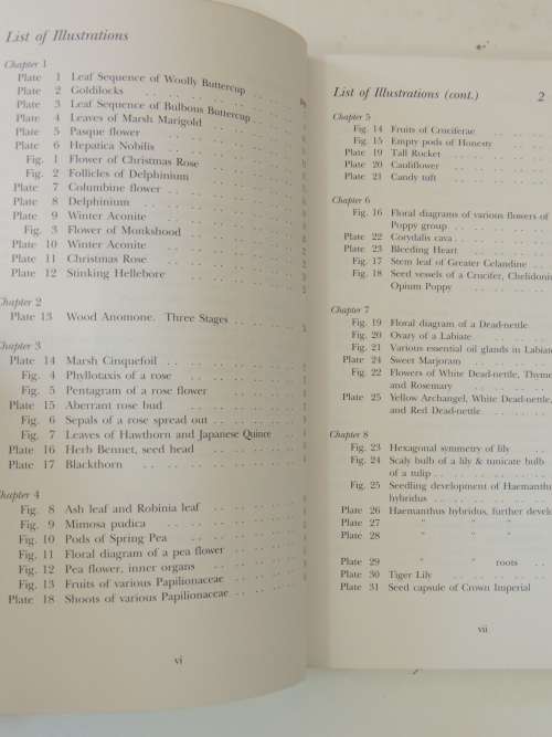 The Plant Volumes 1 & 2, A Guide to Understanding its Nature, Flowering Plants - Gerbert Grohmann