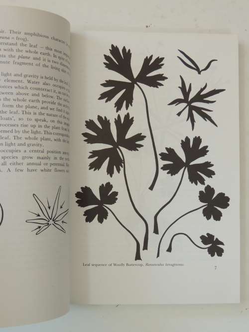 The Plant Volumes 1 & 2, A Guide to Understanding its Nature, Flowering Plants - Gerbert Grohmann