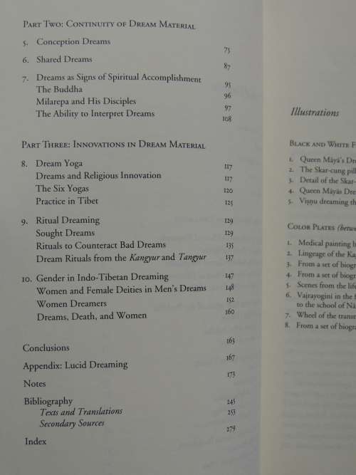 Dreaming  in the Lotus - Buddhist Dream Narrative, Imagery, & Practice - Serenity Young