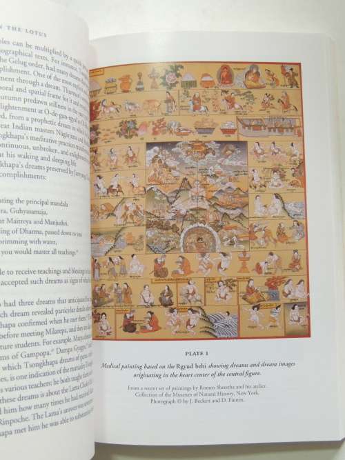 Dreaming  in the Lotus - Buddhist Dream Narrative, Imagery, & Practice - Serenity Young