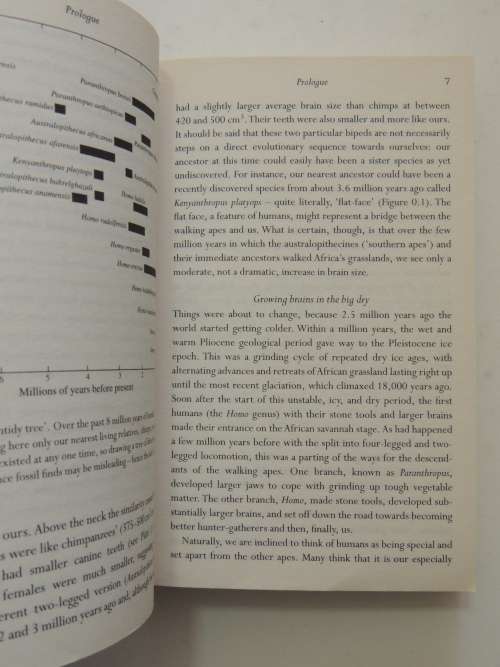 Out Of Africa`s Eden - The Peopling Of The World - Stephen Oppenheimer