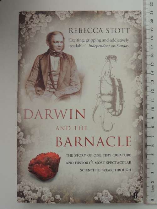 Darwin And The Barnacle - Rebecca Stott