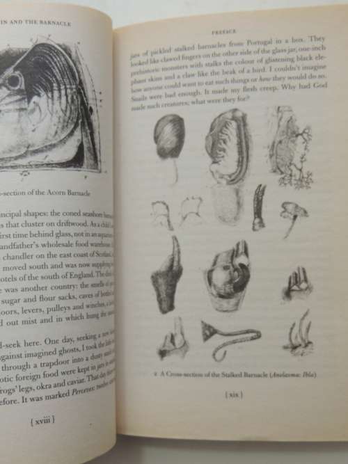 Darwin And The Barnacle - Rebecca Stott