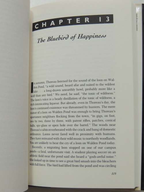 The Virgin And The Mousetrap - Essays In The Search Of The Soul Of Science - Chet Raymo