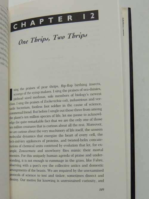 The Virgin And The Mousetrap - Essays In The Search Of The Soul Of Science - Chet Raymo