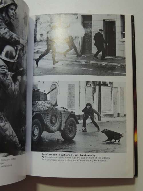 Pig In The Middle - The Army In Northern Ireland 1969-1984 - Desmond Hamill