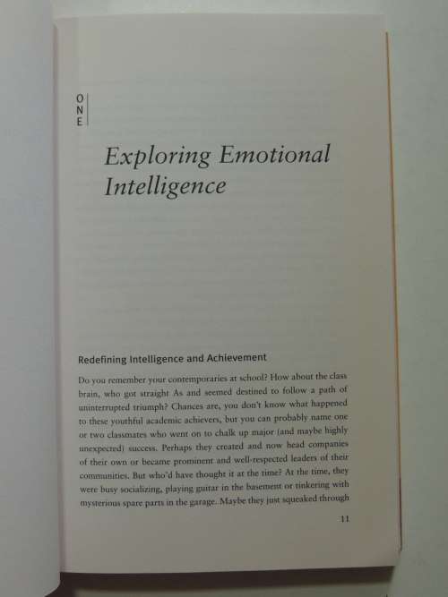 The EQ Edge, Emotionl Intelligence and your Success - Steven Stein, Howard Book