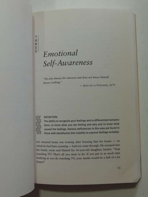 The EQ Edge, Emotionl Intelligence and your Success - Steven Stein, Howard Book