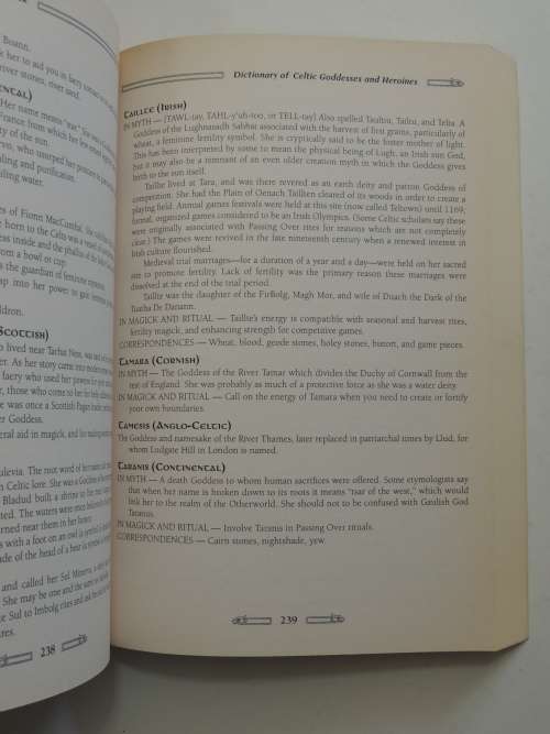 Celtic Myth And Magick - Harnessing The Power Of The Gods And Goddesses -  Edain McCoy