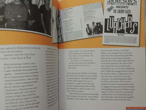 Voëlvry - The Movement That Rocked South Africa -   Pat Hopkins DVD INCL.