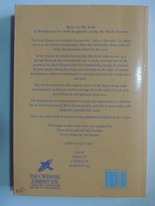 Keys To the Soul: A Workbook for Self-Diagnosis Using the Bach Flowers - Mechthild Scheffer