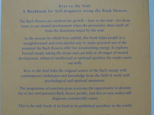 Keys To the Soul: A Workbook for Self-Diagnosis Using the Bach Flowers - Mechthild Scheffer