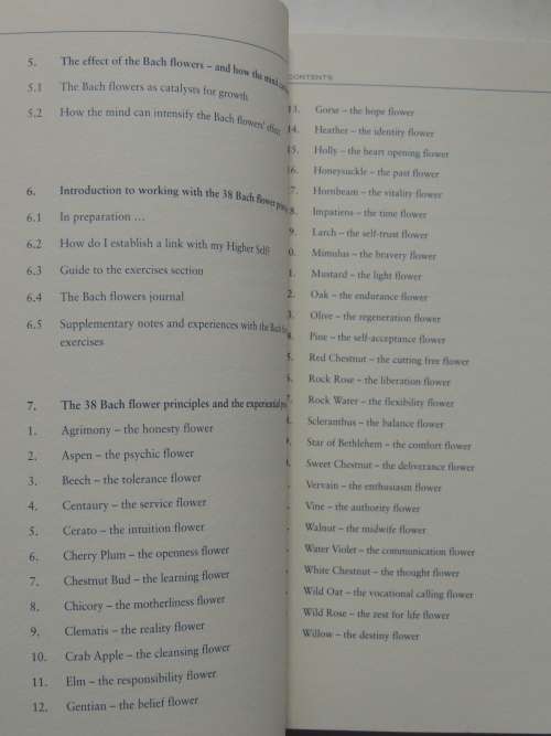 Keys To the Soul: A Workbook for Self-Diagnosis Using the Bach Flowers - Mechthild Scheffer