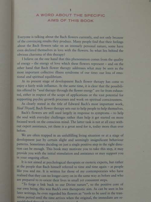 Keys To the Soul: A Workbook for Self-Diagnosis Using the Bach Flowers - Mechthild Scheffer