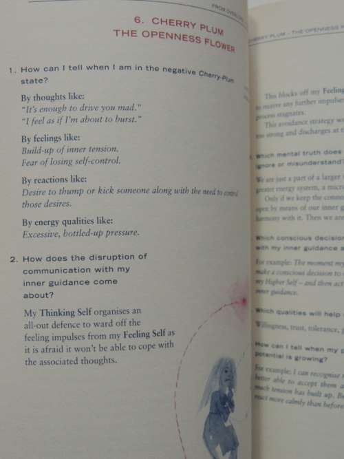Keys To the Soul: A Workbook for Self-Diagnosis Using the Bach Flowers - Mechthild Scheffer