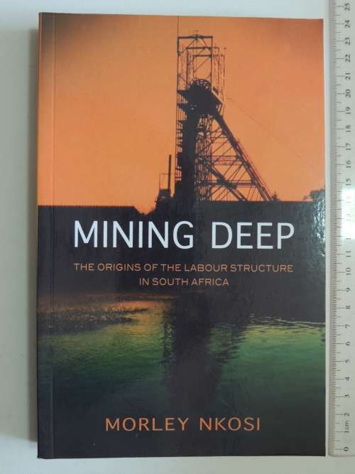 Mining Deep, the Origins of the Labour Structure in South Africa - Morley Nkosi