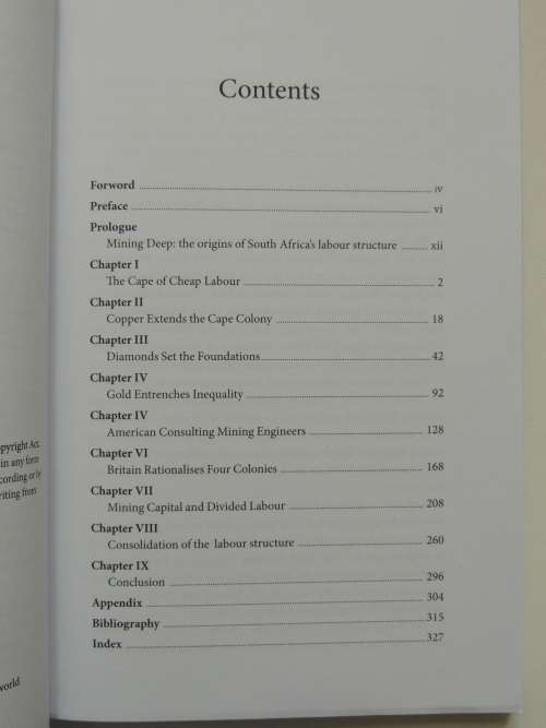 Mining Deep, the Origins of the Labour Structure in South Africa - Morley Nkosi
